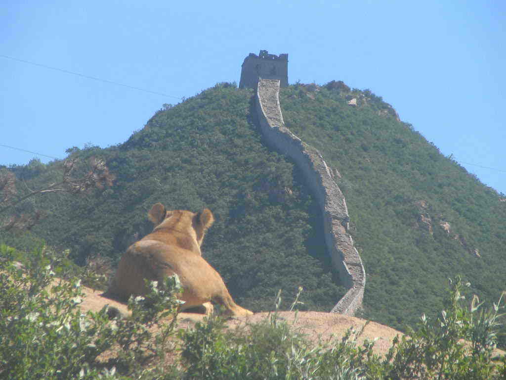 特价八达岭野生动物世界消夏避暑游