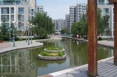 便宜就是便宜啊没有比我的更便宜