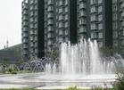 精品阳光一居室超低价出售