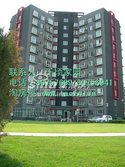 低价出售矩阵小户型