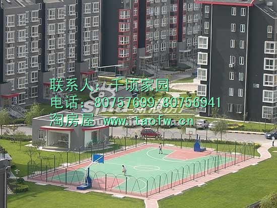 出售矩阵阳光一居