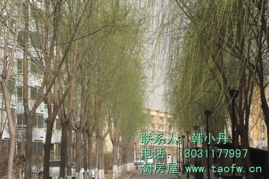 189平米 经典毛坯新房 130万便宜出售