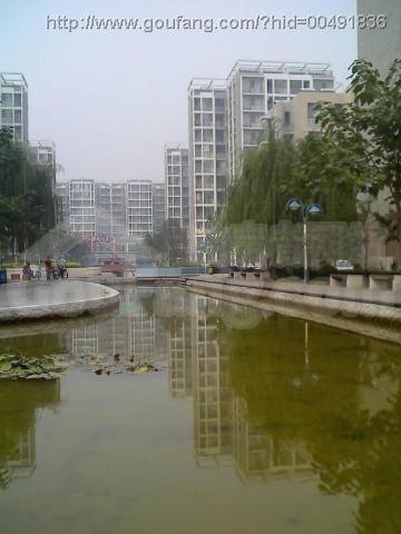 流星花园三区经典户型三居室带花园便宜出售!