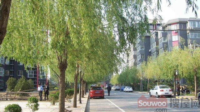 矩阵二期经典一居室 南向 精装修