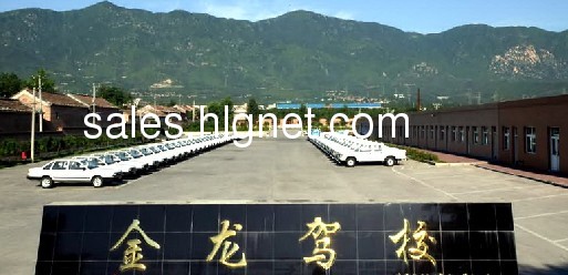 金龙驾校新春学车大优惠,3400元轻松拿驾照!!!王老师:81710444 13520280702