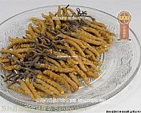 同仁堂回收冬虫夏草13521955322海参礼品