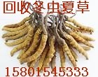 高价回收冬虫夏草【15801545333】好坏都收回收海参燕窝