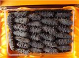常年收购冬虫夏草 海参冬虫夏草回收15945082790礼品