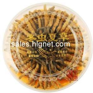 北京《回收冬虫夏草价格》13269303777北京《收购冬虫夏草》礼品