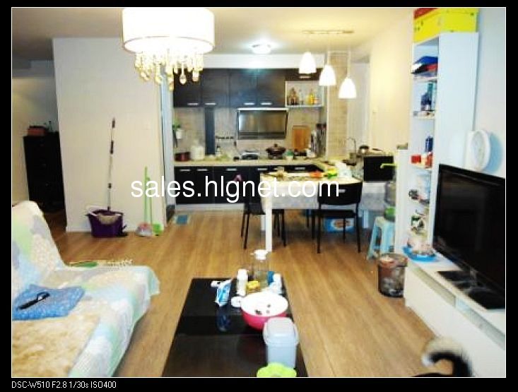 不受政策影响 不计购房套数 不限购 loft户型 业主急